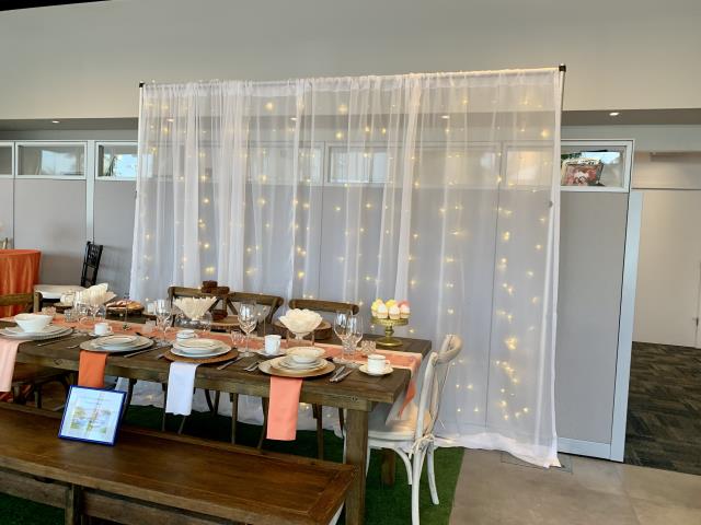 Rental store for LIGHT, LED CURTAIN LIGHTS in Grand Cayman , Cayman Islands