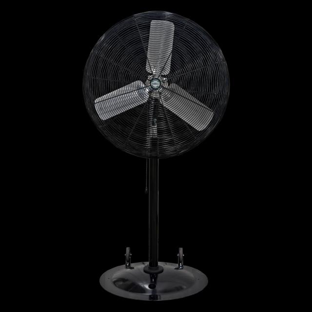 Rental store for FAN, 24 , PEDESTAL OSCILLATING in Grand Cayman , Cayman Islands