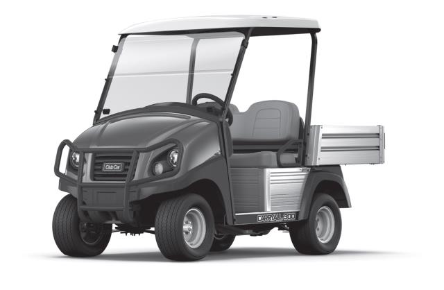 Rental store for UTILITY VEHICLE, 300 ELECTRIC in Grand Cayman , Cayman Islands