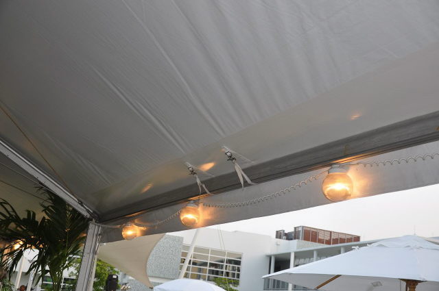 Rental store for LIGHTS, STRING GLOBE, 5 BULB in Grand Cayman , Cayman Islands